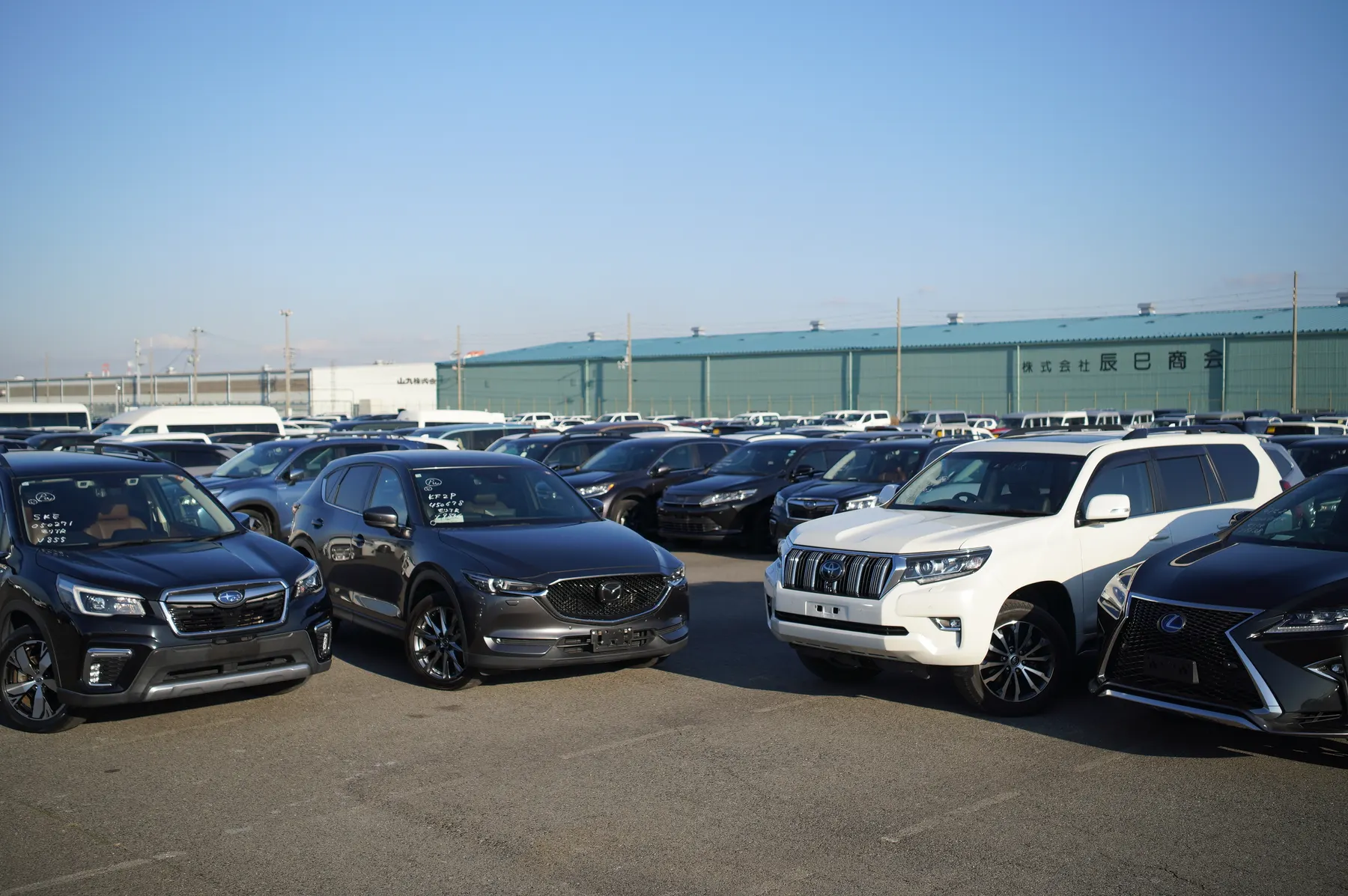 MORITRADING's yard in Japan, lined with inspected SUVs ready for export