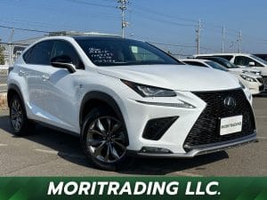 2019 Lexus NX NX300 F SPORTS