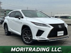 2020 Lexus RX RX300 F SPORTS