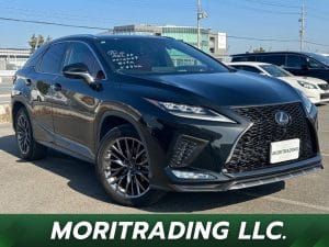 2020 Lexus RX RX300 F SPORTS
