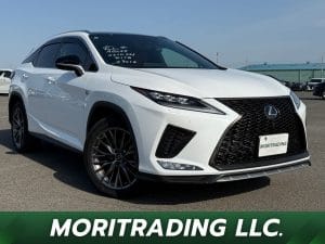 2020 Lexus RX RX300 F SPORTS