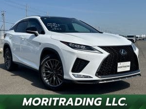 2019 Lexus RX RX300 F SPORTS