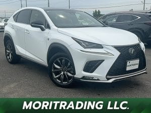 2019 Lexus NX NX300 F Sports