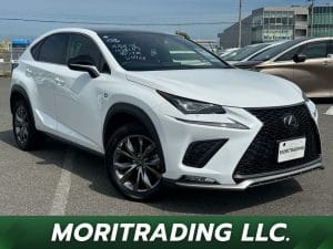 2019 Lexus NX NX300 F Sports