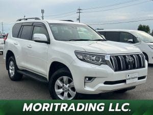2019 TOYOTA LANDCRUISER PRADO TX